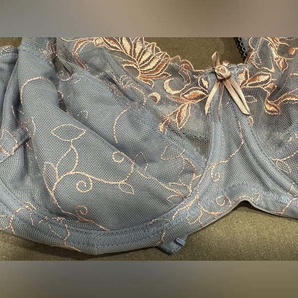 Elegant Lace Embroidered Blue and Pink Unlined Underwire Bra Size 40DD - Picture 2 of 11